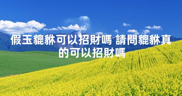 假玉貔貅可以招財嗎 請問貔貅真的可以招財嗎